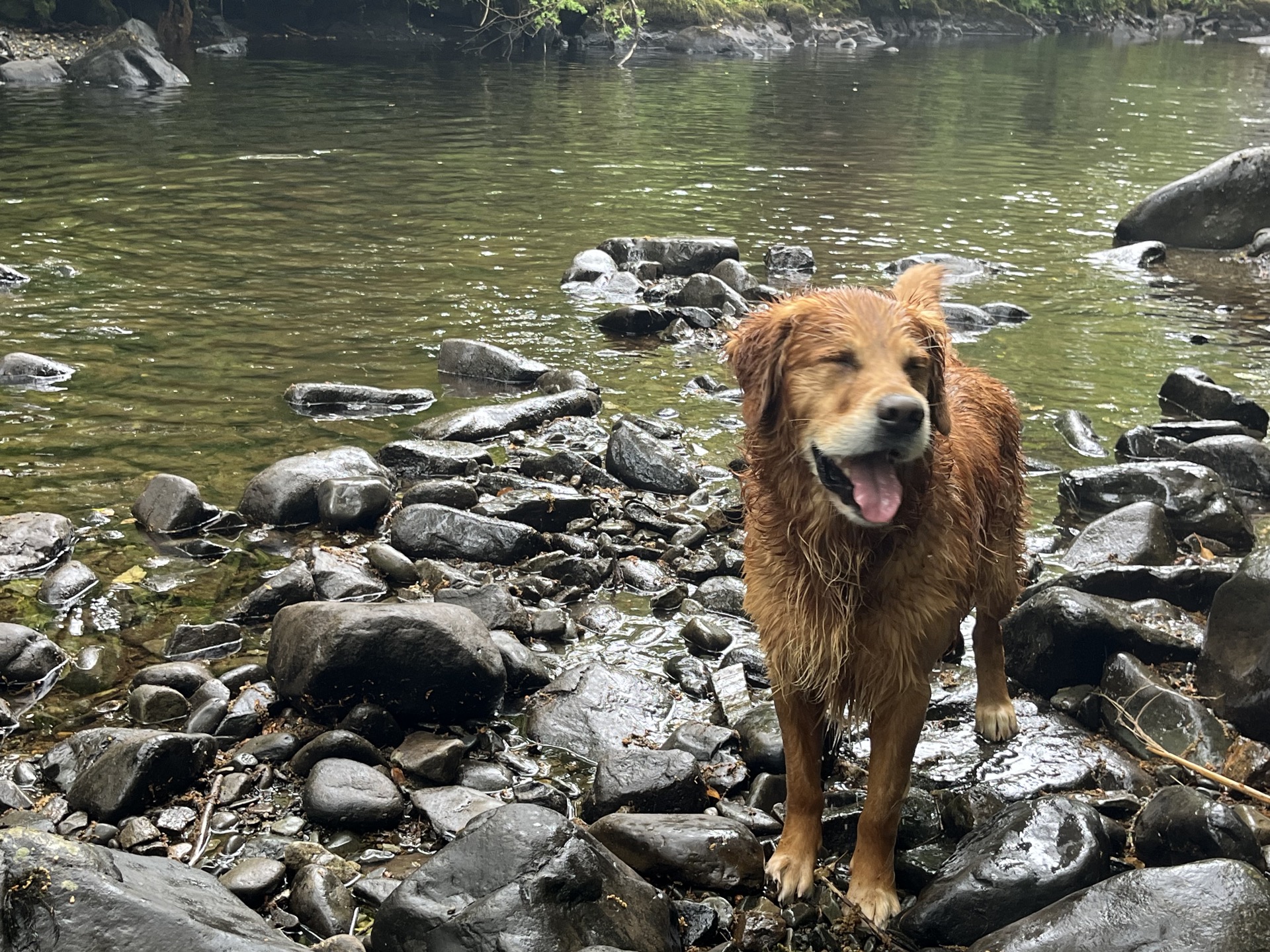 Being intentional with your time when everything is busy