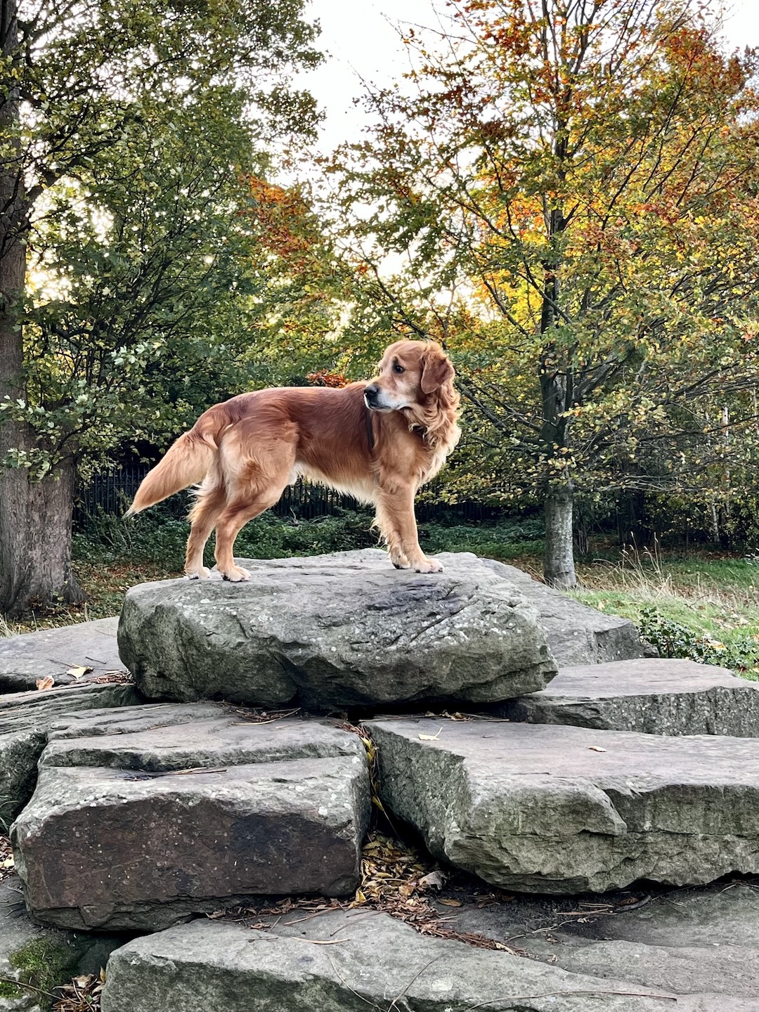 The problem with “High Agency” culture